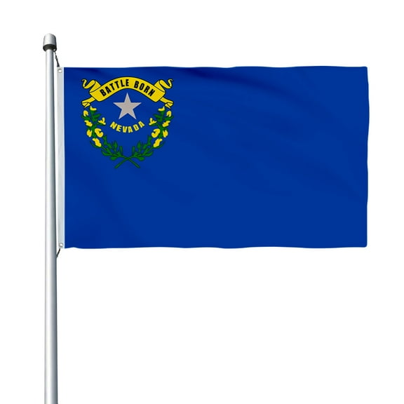 Aihccy Nevada State Flag with Brass Grommets Size - 3x5Ft