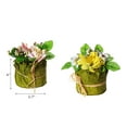 thumbnail image 3 of Maison Concepts Artificial Floral In Paper Pot Asstd - Set of 2 (2.7L X 2.7W X 4H), 3 of 3