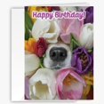 thumbnail image 1 of Tarjeta de felicitación 90210 Exotics, bonita nariz de cachorro en tulipanes, 13 x 18 cm, 1 of 6