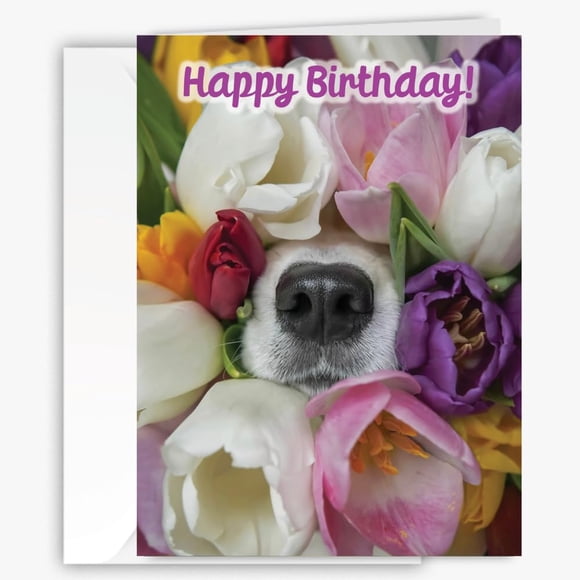 Tarjeta de felicitación 90210 Exotics, bonita nariz de cachorro en tulipanes, 13 x 18 cm