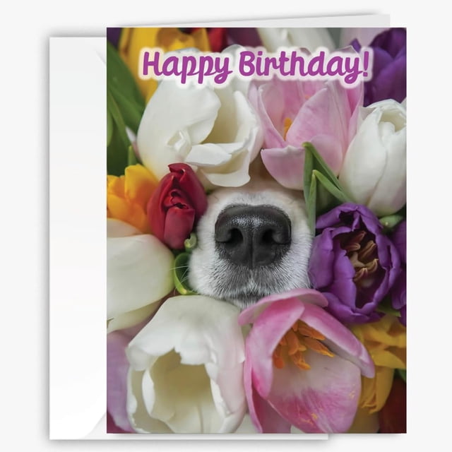 Tarjeta de felicitación 90210 Exotics, bonita nariz de cachorro en tulipanes, 13 x 18 cm
