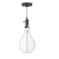 thumbnail image 4 of Bulbrite 810174 4W 2200K Pear Shape Grand Filament LED Bulb with White Marble Pendant & String, Clear, 4 of 7
