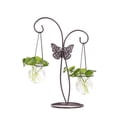 thumbnail image 3 of Terrarios de vidrio colgantes Contenedor Maceta Planta hidropónica Planta de aire A UN kusrkot Contenedor de terrario, 3 of 8