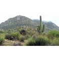 thumbnail image 2 of Popcorn 24x15 White Modern Wood Framed Museum Art Print Titled - Granite Mountain, 2 of 4