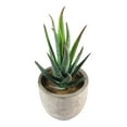 thumbnail image 2 of 5pcs Decorative Faux Succulent Artificial Succulent Fake Simulation Plants with Pots, 2 of 5
