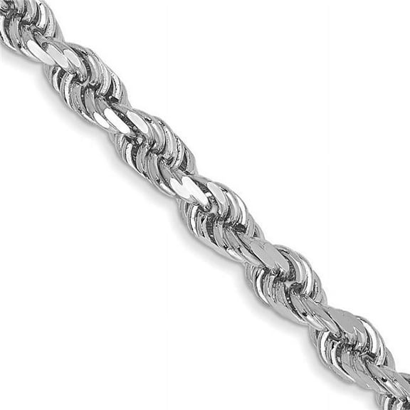 10K White Gold 3 mm Diamond-Cut 20 in. Rope Chain