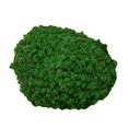 thumbnail image 1 of Decoración de Pared Sunnimix Jardín Artificial Guirnaldas 25g, 1 of 8
