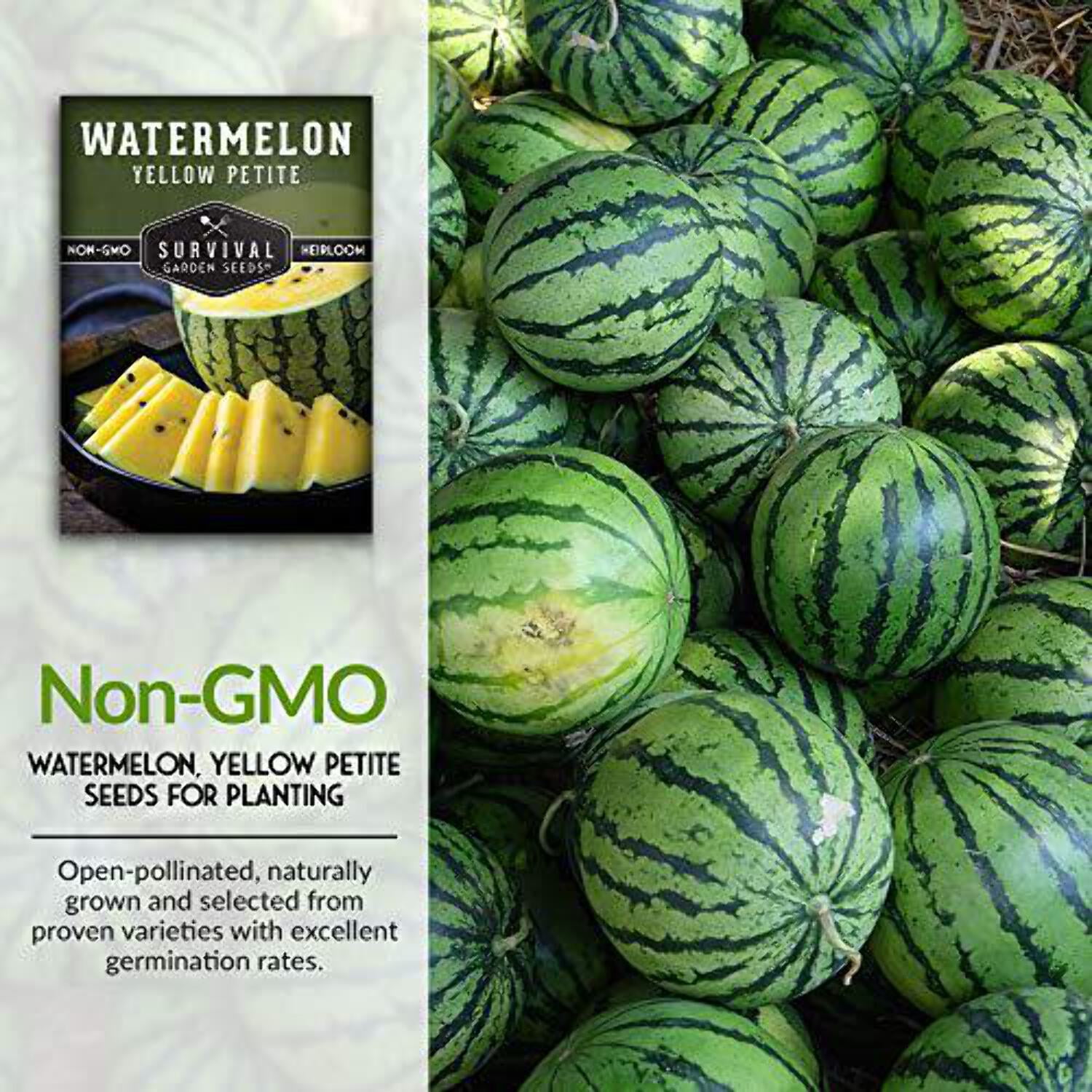5 Packs Yellow Petite Watermelon Seeds - Non-GMO Heirloom
