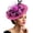 Black Rose Red, variant on Fascinators Hat Flower Mesh Feathers Hat with a Headband and a Clip Tea Party Headwear for Women