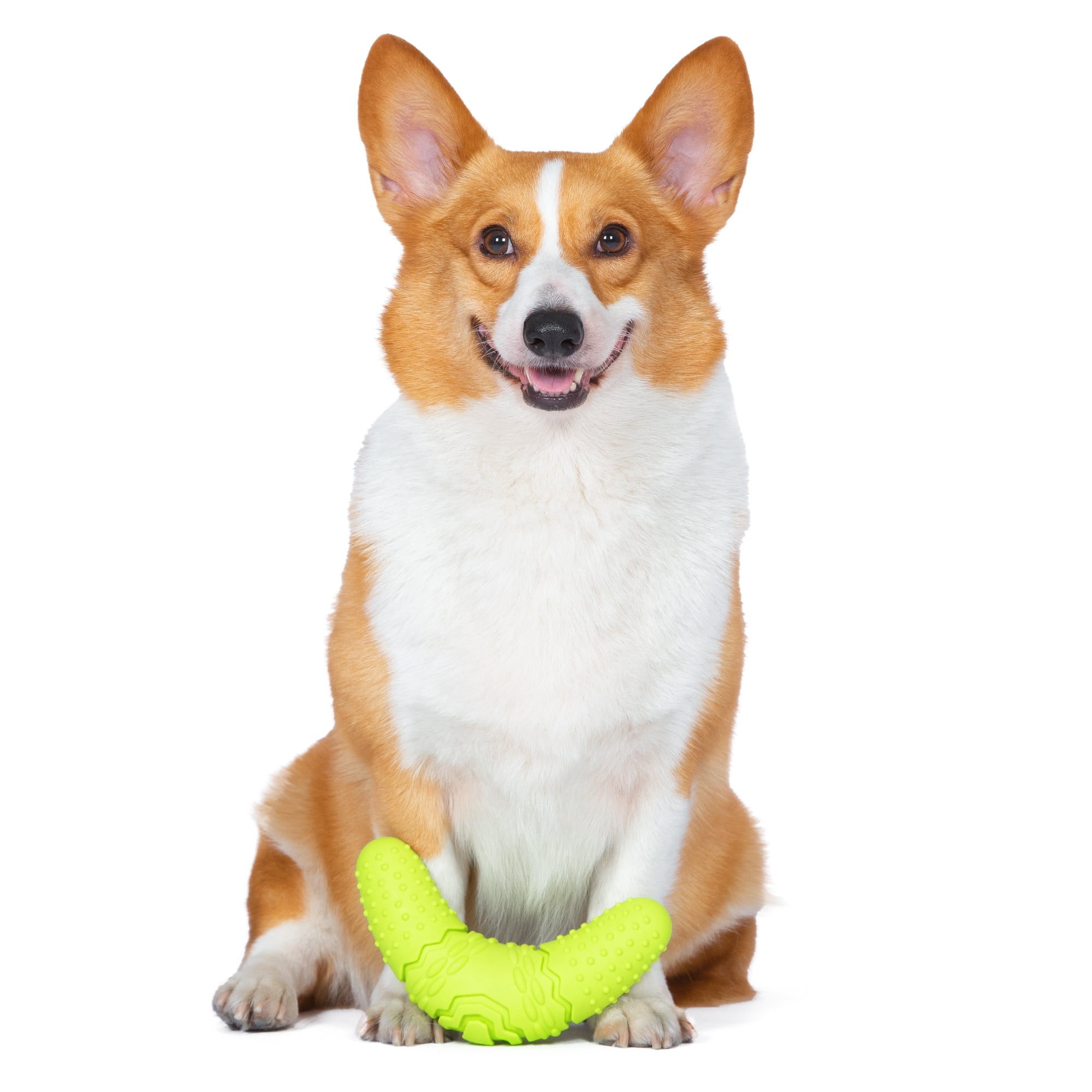 Arm & Hammer: Scrubbies Boomerang Puppy Dental Chew Toy- LRG