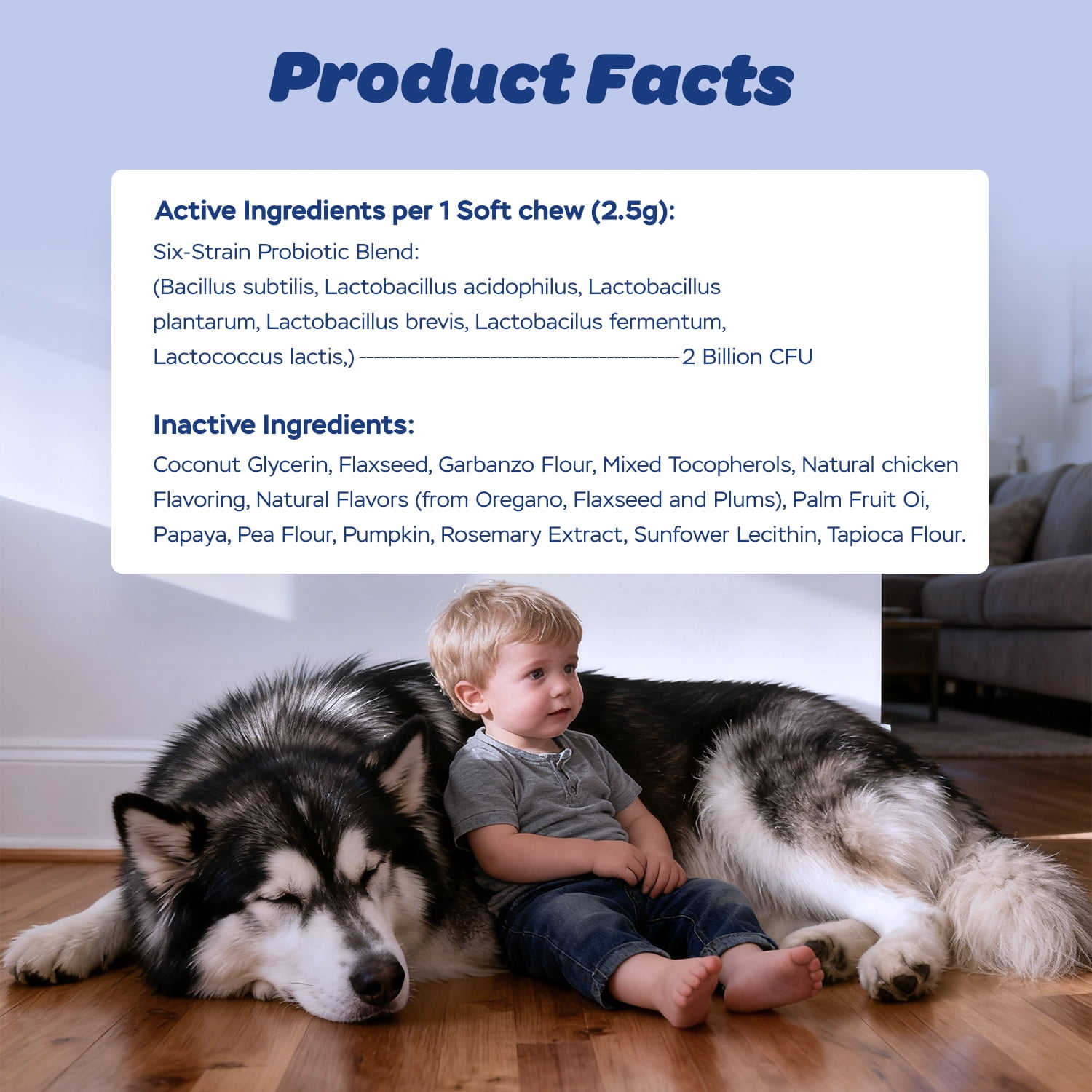 Xiderdl Dog Probiotic Soft Chews 120 Count – 6-Strain Probiotics (2 Billion CFU) for Digestive & Immune Support – Chicken Flavor Gut Health Supplement for Dogs