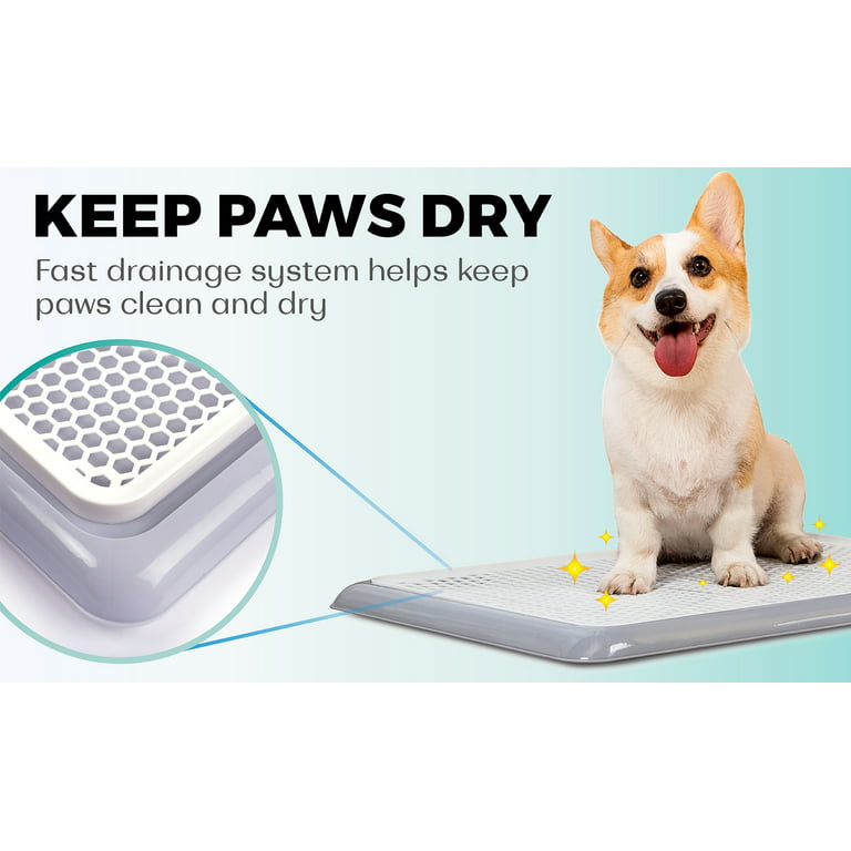 Awesome Dog Potty Tray Puppy PEE Pad Holder Indoor for Medium and