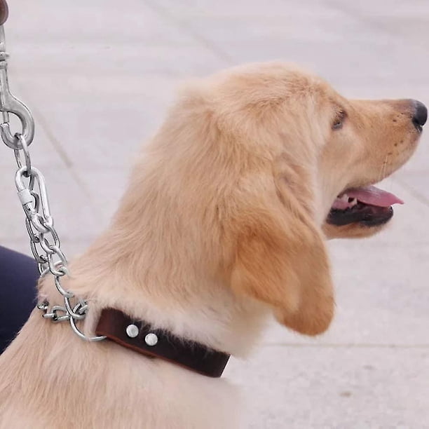 Collar de cuero para mascotas, compatible con perros pequeños, medianos y grandes (xl)