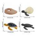 thumbnail image 2 of Plastic Animals Figures 4 Piece Insect Figure Animal Life Cycle Plastic Brood to Mature Period, 2 of 3