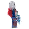 thumbnail image 4 of Candyblossom, Graduation Redvines , Gift Assortment, 2 Count Base, Sweet Crunchy Bites, 4 of 6