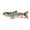 B, variant on 130mm Electronic Self-Propelled Fishing Lure – Rechargeable LED Swimbait with Realistic Tail Motion, Ready-to-Fish Multi-Style Kit for Freshwater/Saltwater