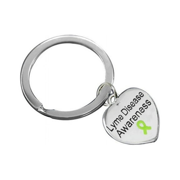 Lyme Disease Awareness Heart Charm Split Style Key Chains