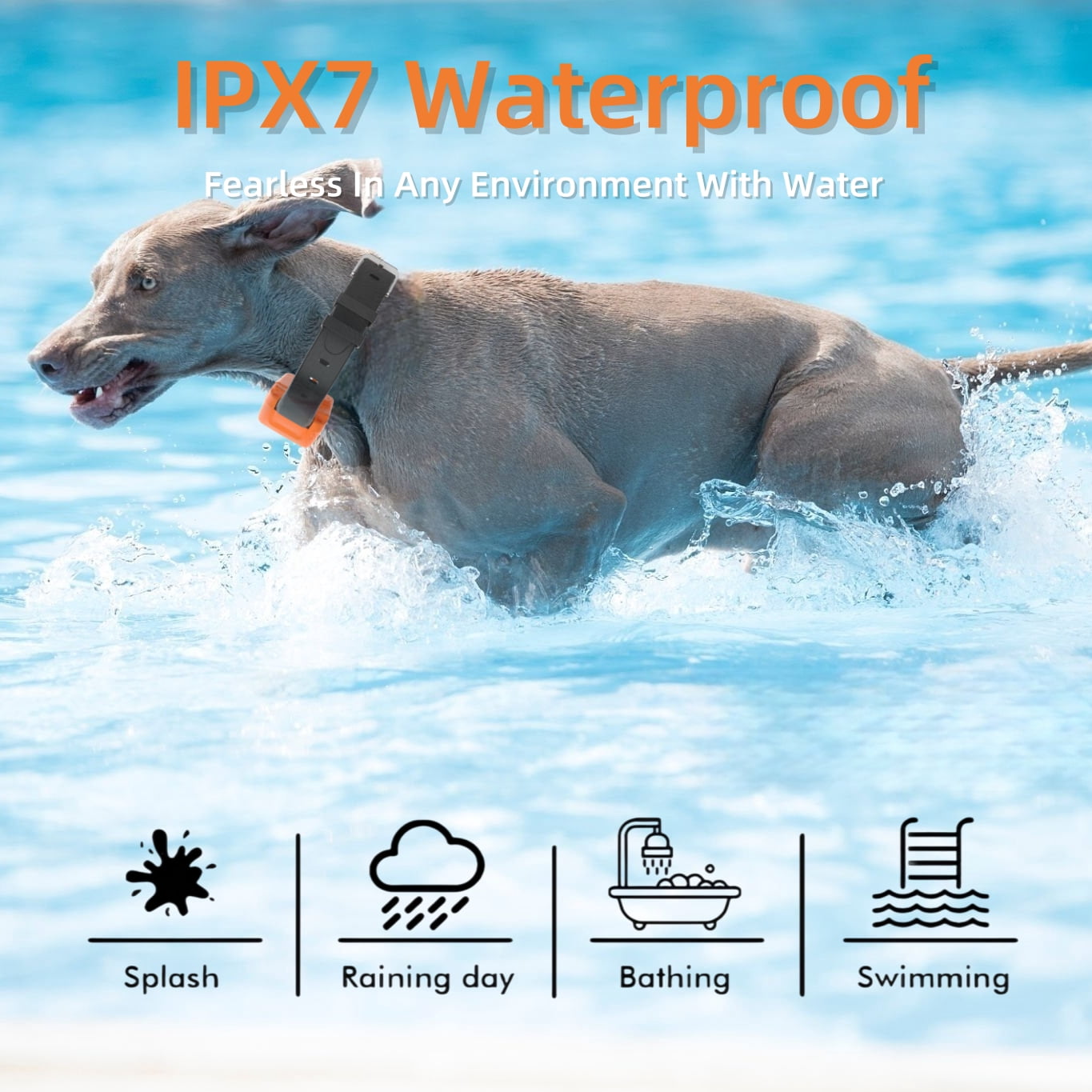 GPS Wireless Dog Fence System, Custom Polygon Boundary Electric Fence for Dogs with Adjustable Warning Strength, Safe Zone Radius 49-6561Ft, IPX7 Waterproof Invisible Fence
