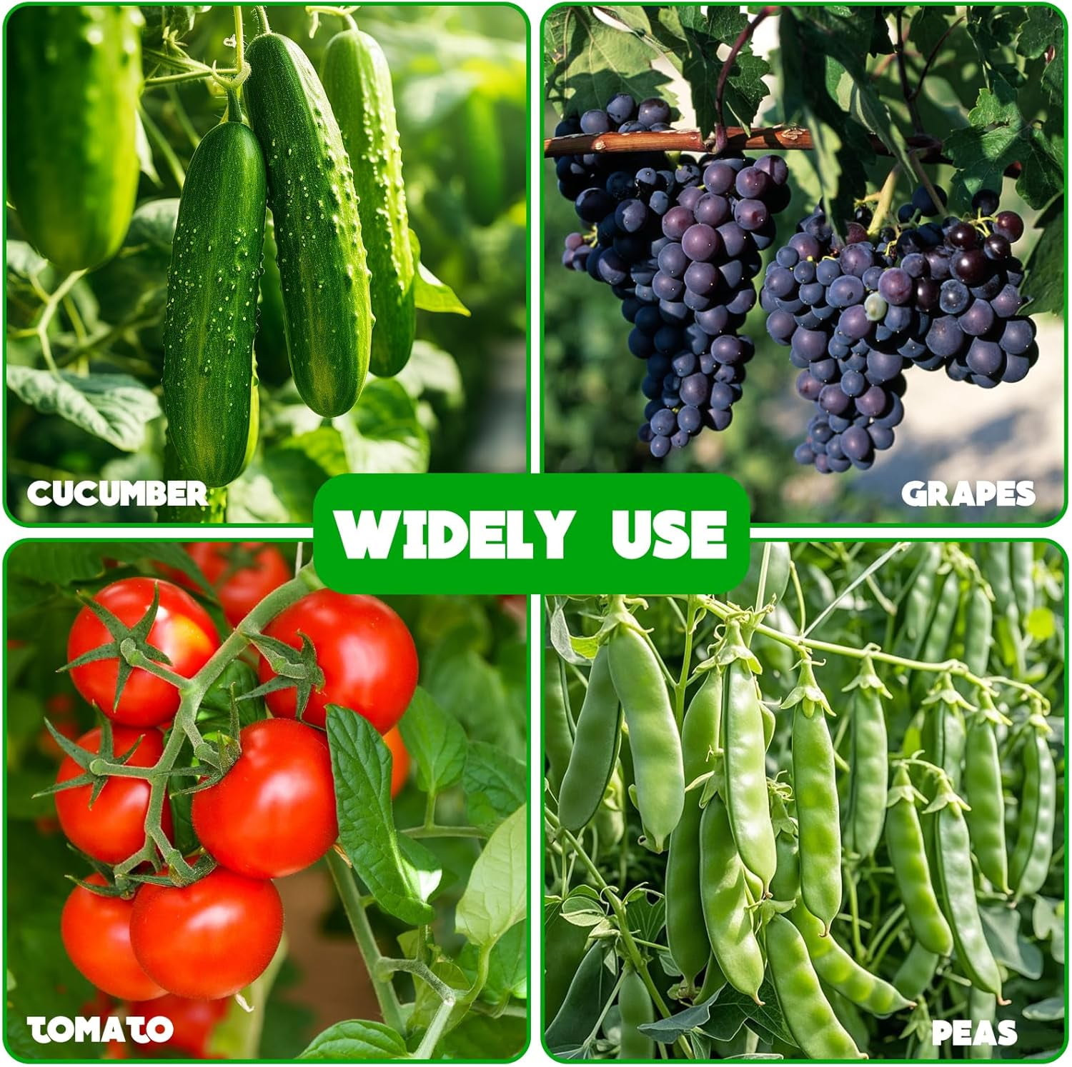 No Assembly Required Cucumber Trellis,2 Pack Trellis for Cucumbers,Outdoor Raised Bed Climbing Plant Support,A-Frame Garden Frame,Used for Vegetables,peas,Tomatoes,Squash,Melon and Fruit Frame