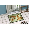 thumbnail image 4 of Red Fish Swim Doormat 18x27, 4 of 4