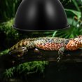 thumbnail image 4 of WRITWAA Turtle Tank Accessories Reptile Heat Lamp Dome Iron Temperature Stability 1Pcs, 4 of 8