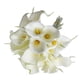 thumbnail image 2 of 10pcs Elegant Lifelike Real Touch Artificial Pu Calla Lily Flower Bouquets Bridal Wedding Flower Bouquets (white), 2 of 3
