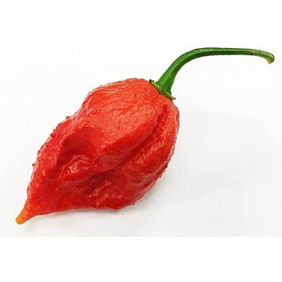 Jigsaw Pepper Premium Seeds Packet