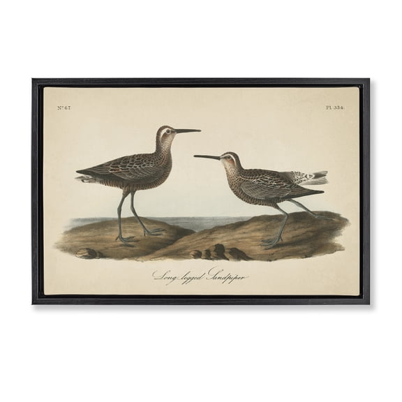 Stupell Industries Traditional Long Legged Sandpiper Black Floating Frame Canvas Art, 25 x 17, by Wild Apple Portfolio