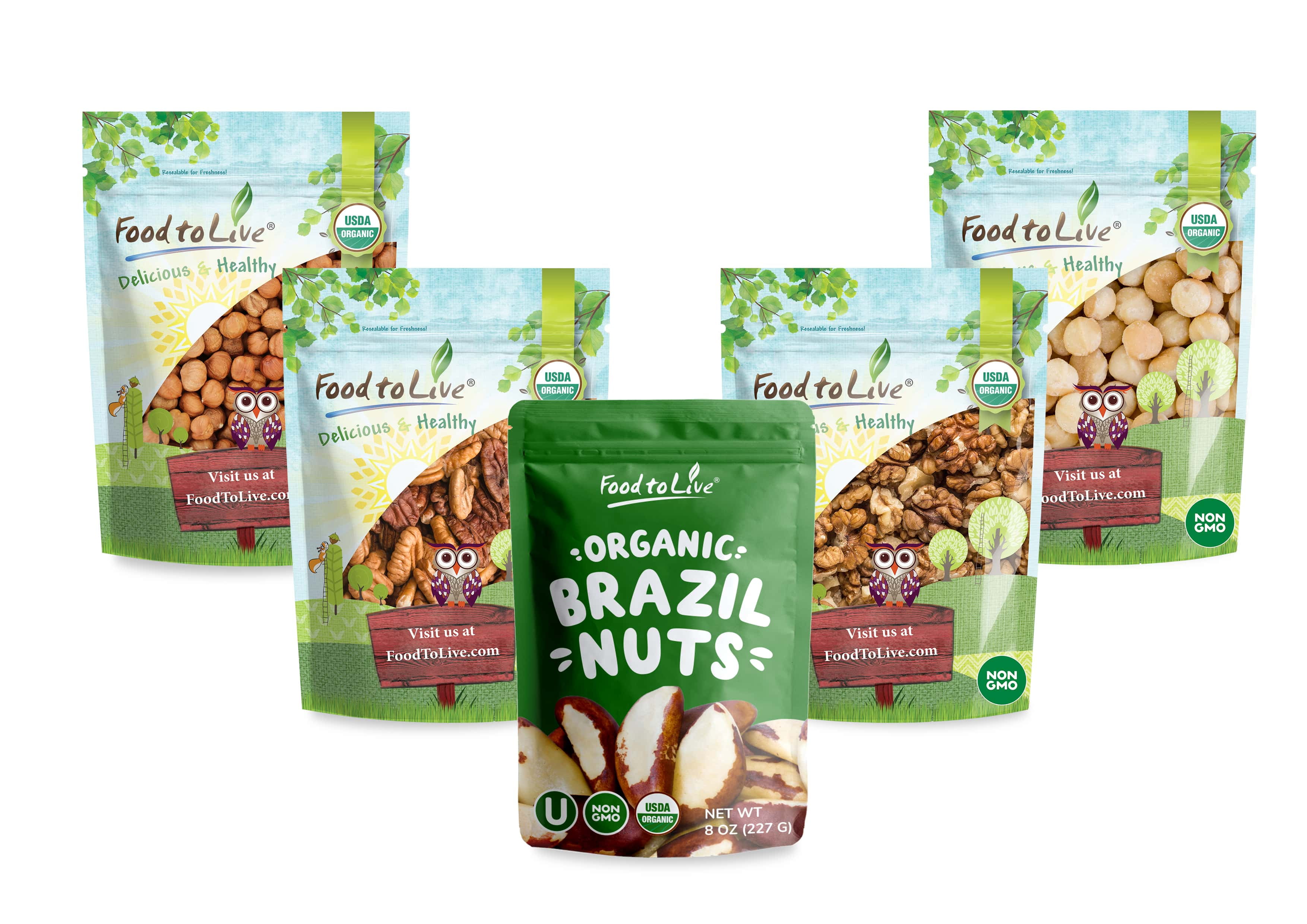 Organic Keto Raw Nuts in a Gift Box - Pecans, Brazil Nuts, Macadamia Nuts, Walnuts, Hazelnuts