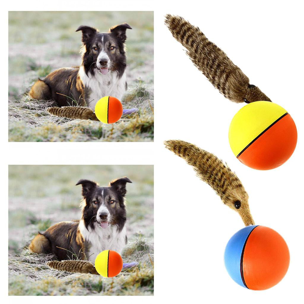 Dog Cat Weasel Motorized Funny Rolling Ball Pet Appears Jump Moving Alive Toy Rodalind-CA 
