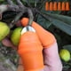 thumbnail image 4 of Dispositivo de recolección de frutas Soledad separador de silicona, 4 of 9