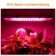 thumbnail image 5 of lámpara de crecimiento AC180240V 100W 96LEDs Luz de crecimiento de plantas de interior Lámpara de crecimiento de espectro completo para plantas de interior Vegetales y flores Luz de suplemento de inve Romacci lámpara de crecimiento, 5 of 7