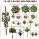thumbnail image 5 of Planta suculenta artificial, 16 piezas grandes de suculentas artificiales flocadas para decoración floral, 5 of 5