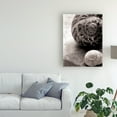 thumbnail image 3 of Trademark Fine Art 'New Discoveries No Border' Canvas Art by Sue Schlabach, 3 of 3
