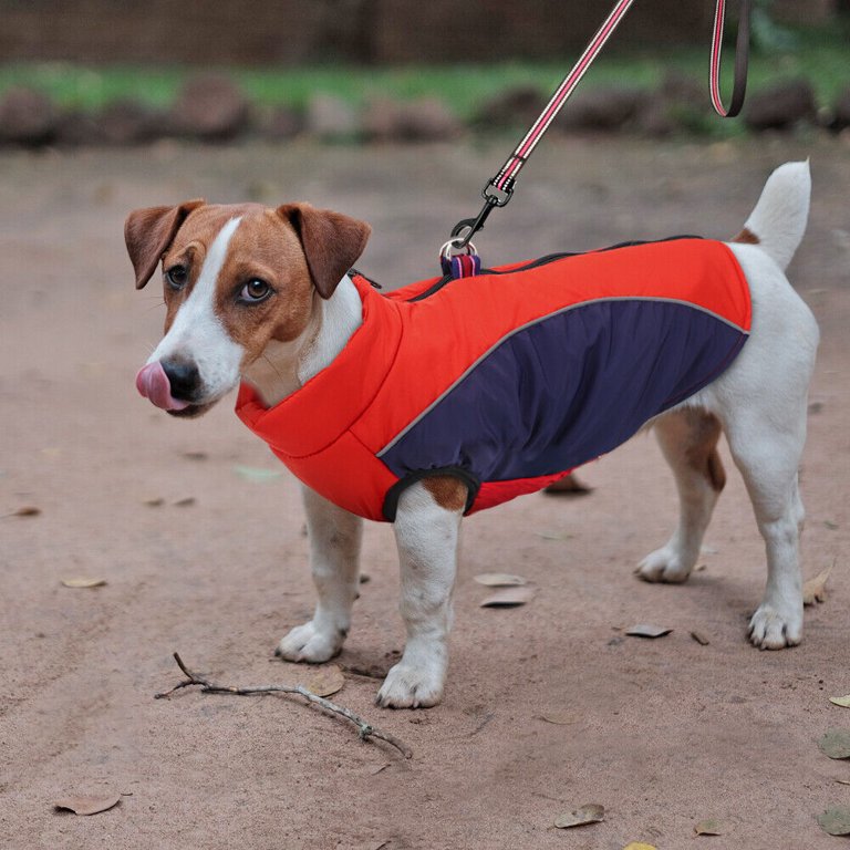 Pet Artist Small Dog Coats Waterproof Fleece Winter Puppy Pet