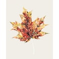 thumbnail image 2 of Popp, Grace 12x14 Black Ornate Wood Framed with Double Matting Museum Art Print Titled - Fall Mosaic Leaf III, 2 of 4