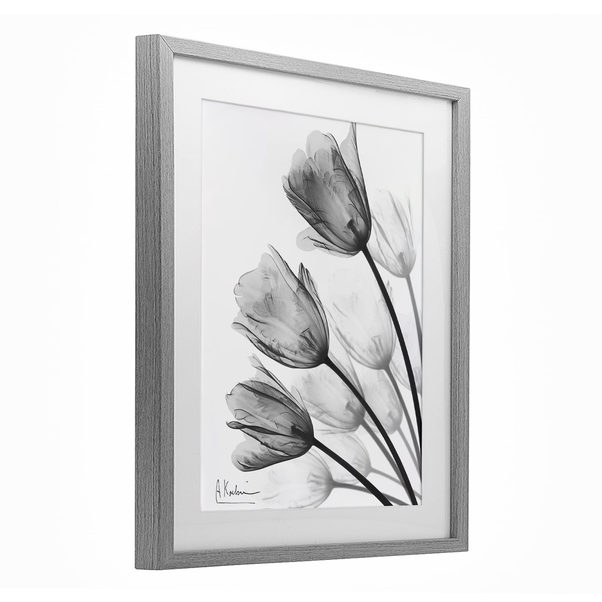 Stupell Industries Minimalist Tulip Fan Gray Framed Print Under Glass, design by Albert Koetsier