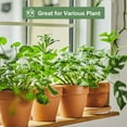 thumbnail image 5 of Caliber-1.9inch,height-1.6inch,Clay Pots for Plants, Small Terra Cotta Plant Pots with Drainage Hole, Flower Pots, Terracotta Pots for Indoor Outdoor Plant, 5 of 5