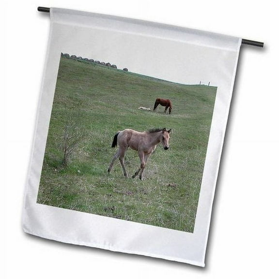 3dRose, Horses in a Field, 12 x 18 inch Garden Flag