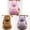 Light-Colored Sweatshirts(3pack), variant on XiHAMA Dog Dresses, Fashion Pet Dog Clothes, Striped Mesh Puppy Dogs Princess Dresses