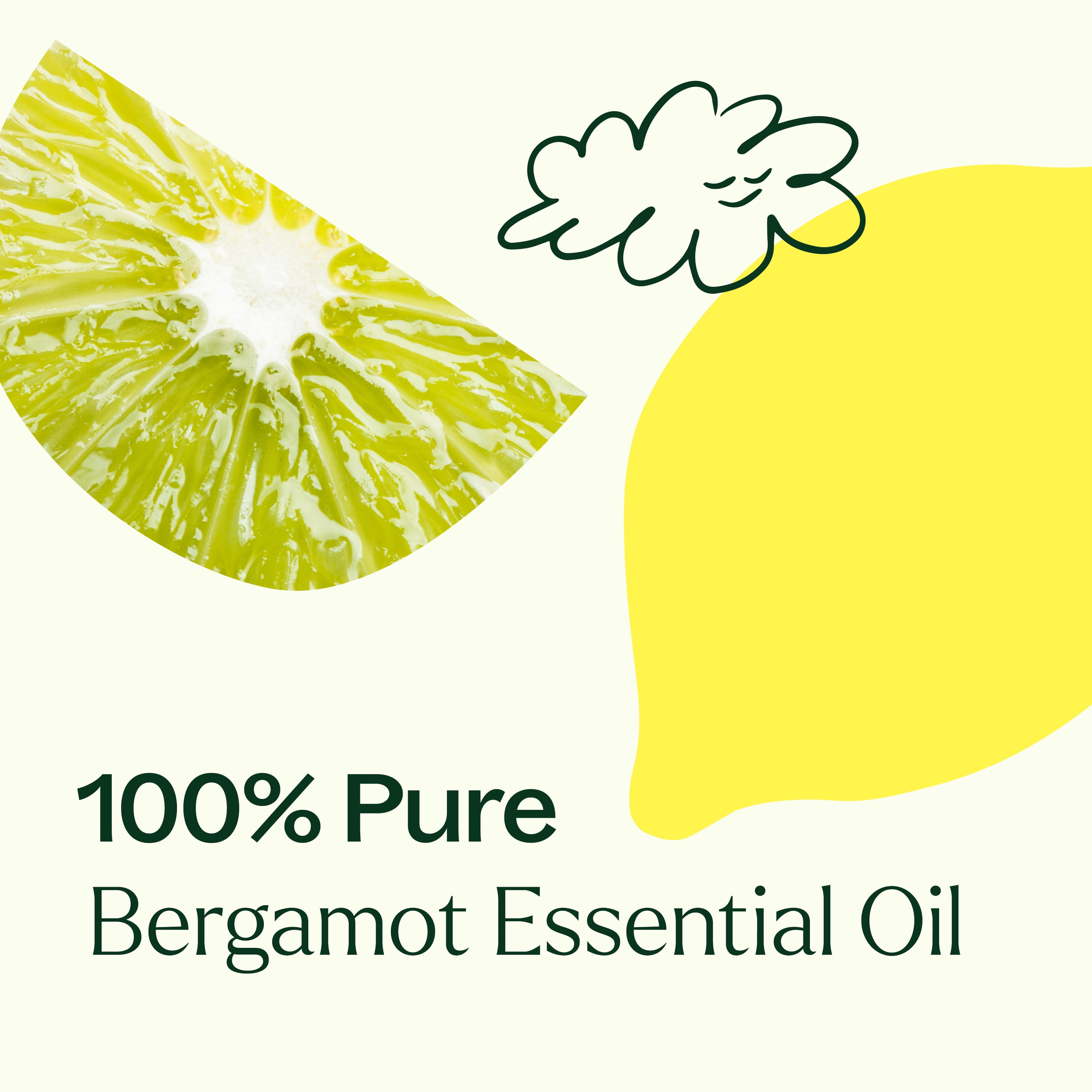 Plant Therapy Bergamot Essential Oil 100% Pure, Undiluted, Natural Aromatherapy 100 mL (3.3 oz)