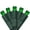 Green, variant on 50 Count 5mm Led Lights,Outdoor Mini Led String Lights for Garden Patio Halloween Christmas Trees Lighting Decorations,17 Feet Green Wire,Purple Color