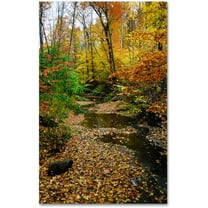 Trademark Fine Art "Autumn Stream" Canvas Art by Kurt Shaffer, 22x32