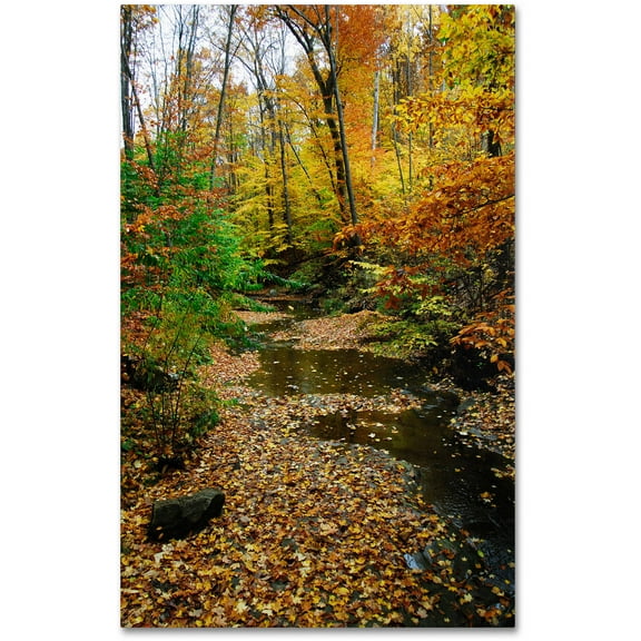 Trademark Fine Art "Autumn Stream" Canvas Art by Kurt Shaffer, 22x32