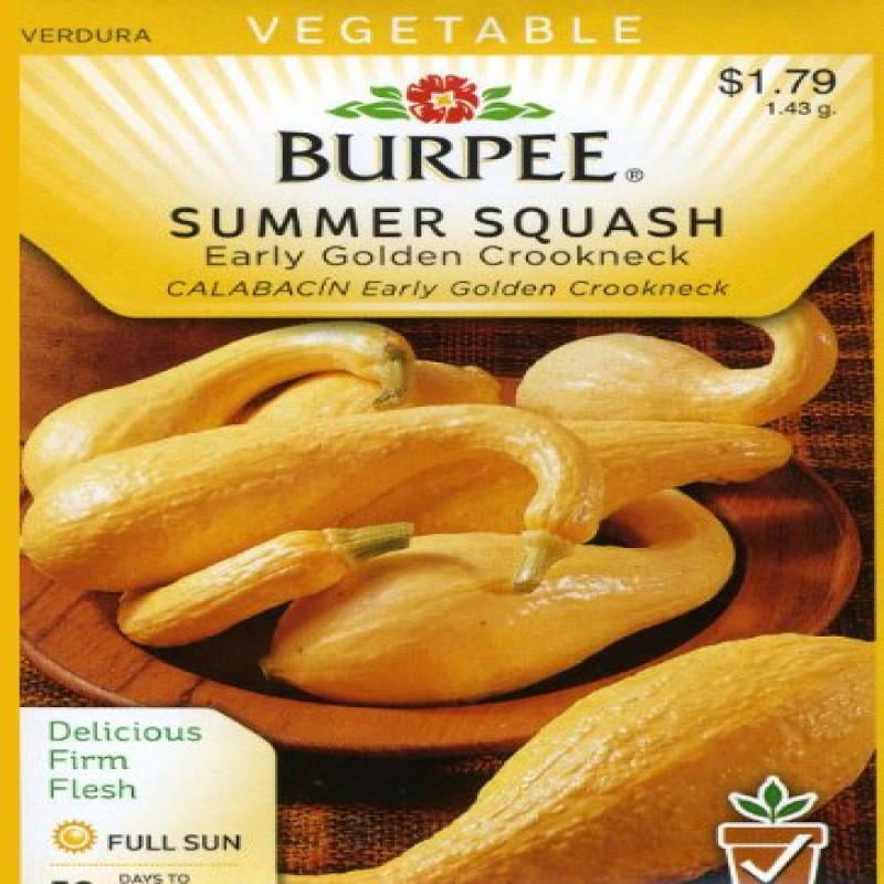Burpee Vegetable Seed