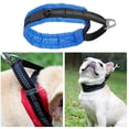 thumbnail image 3 of Dog Reflective Collar Adjustable Puppy Padded Collar Pet Collar for Training, 3 of 10