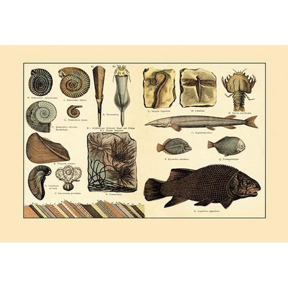 Fossil Ferns and Fish- Fine Art Canvas Print (20" x 30")