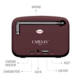 thumbnail image 5 of Saregama Carvaan Mini Bluetooth Portable Speaker, Crater Brown, 5 of 6