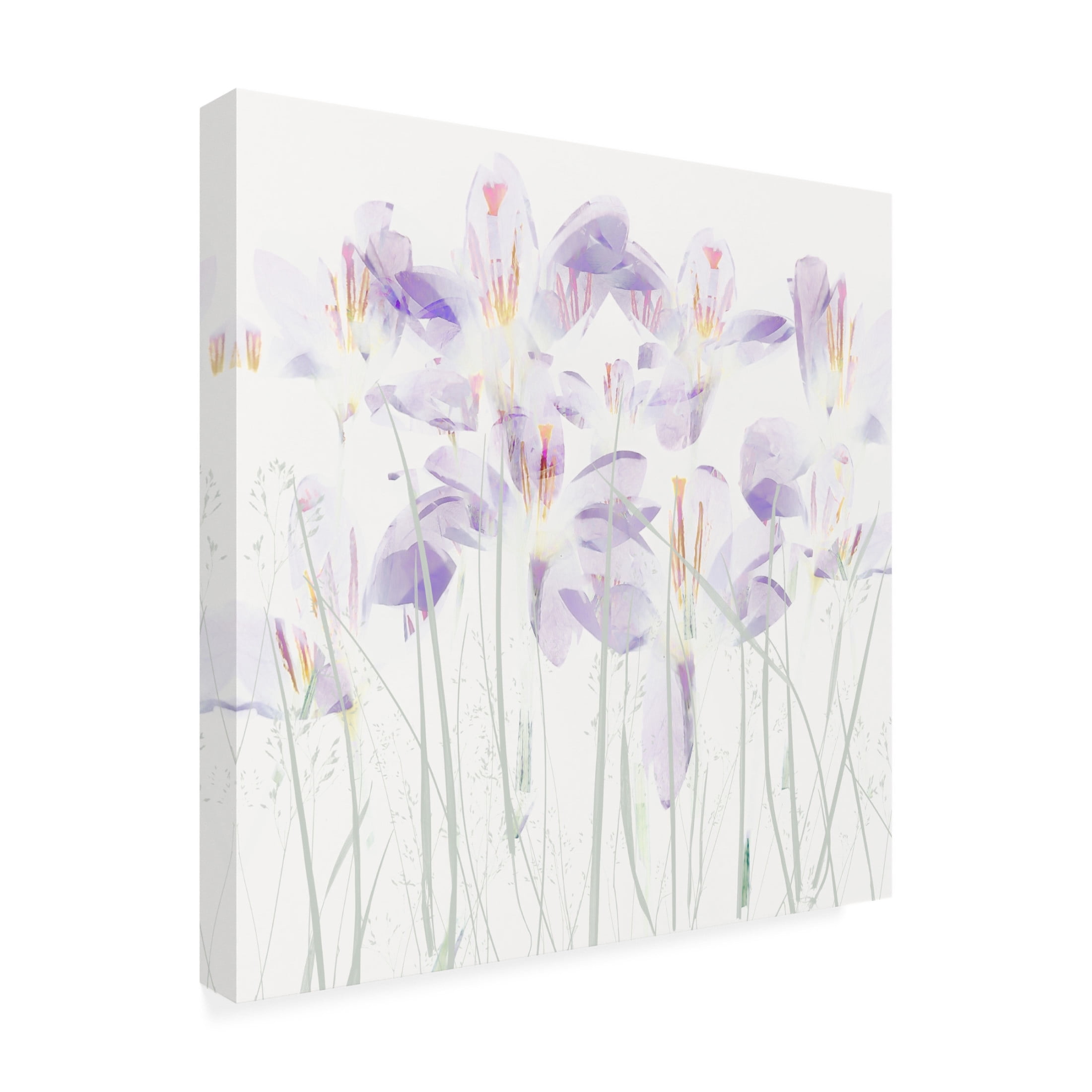 Trademark Fine Art Nel Talen Crocuses In The Grass Canvas Wall Art