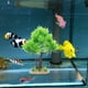 thumbnail image 3 of KAKOWELY Decoración de árbol para pecera, planta artificial para acuario, pecera, árbol de plástico, modelo de simulación de árbol, 3 of 5